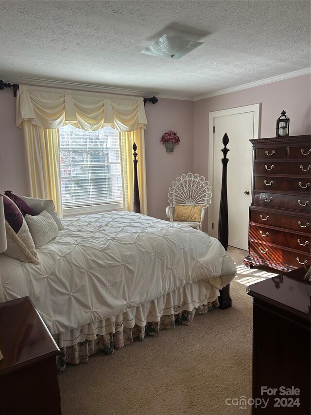 carpeted bedroom with crown molding and a textured ceiling