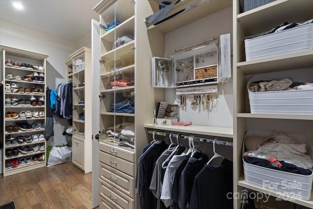 walk in closet with dark hardwood / wood-style flooring