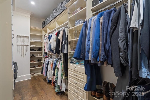 spacious closet featuring dark hardwood / wood-style floors