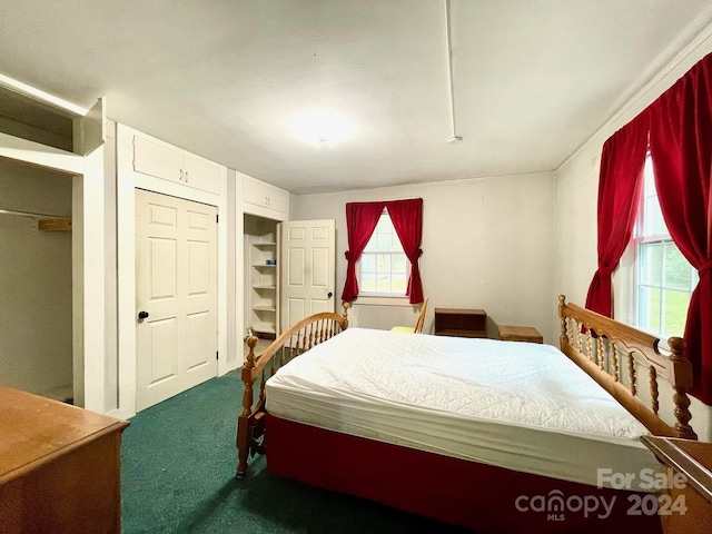 bedroom featuring carpet floors and multiple windows