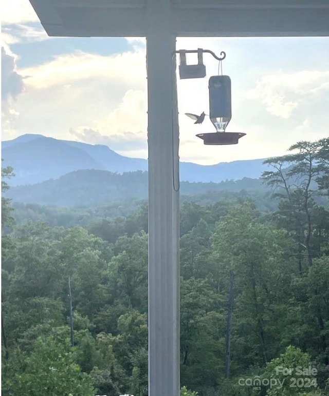 property view of mountains with a wooded view