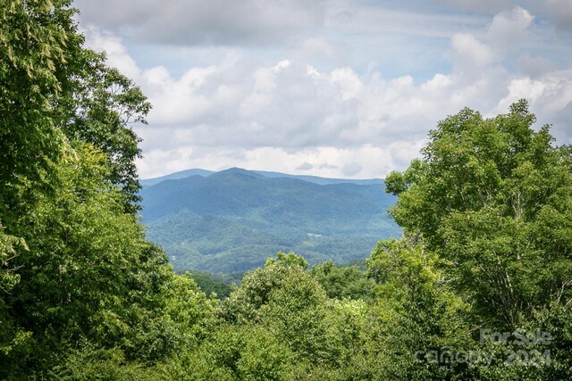 view of mountain feature