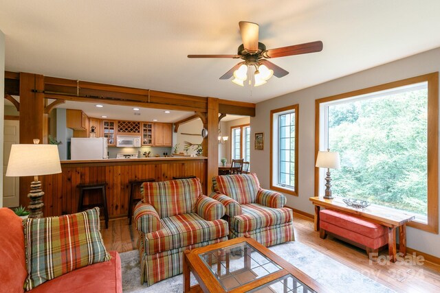 living room featuring ceiling fan and light wood-type flooring