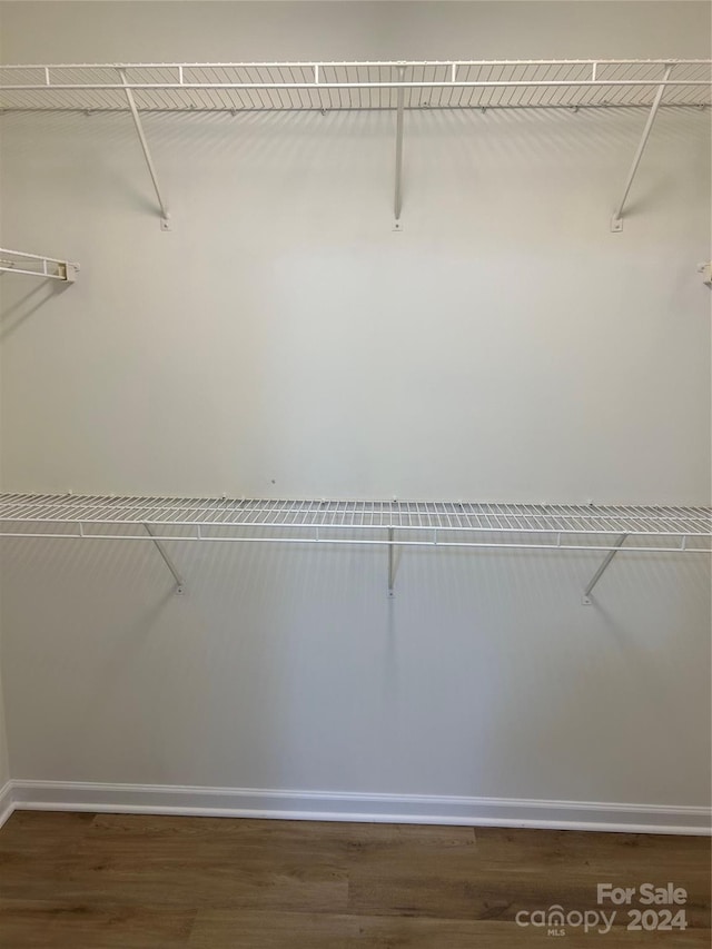 spacious closet featuring dark hardwood / wood-style flooring