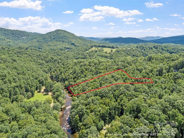 birds eye view of property with a mountain view