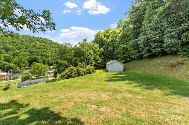 view of yard featuring a shed