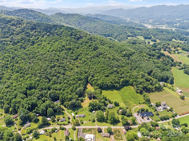 birds eye view of property with a mountain view