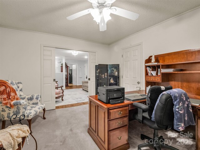 174 W Chippendale Dr, Mills River, NC 28759 - photo 15