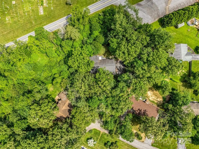 174 W Chippendale Dr, Mills River, NC 28759 - photo 41