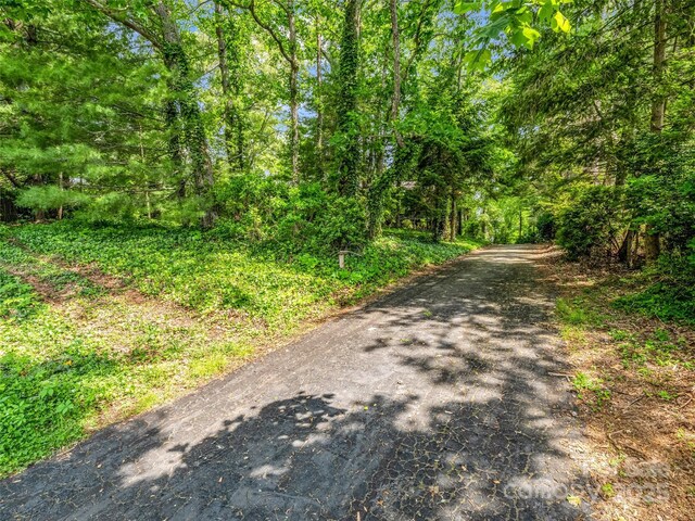 174 W Chippendale Dr, Mills River, NC 28759 - photo 44