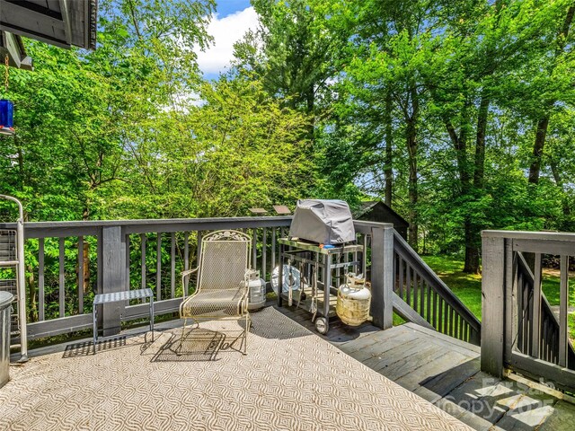 174 W Chippendale Dr, Mills River, NC 28759 - photo 46
