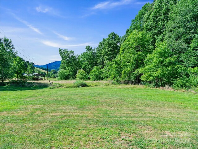 Listing photo 3 for 000 John Henry Rd, Burnsville NC 28714