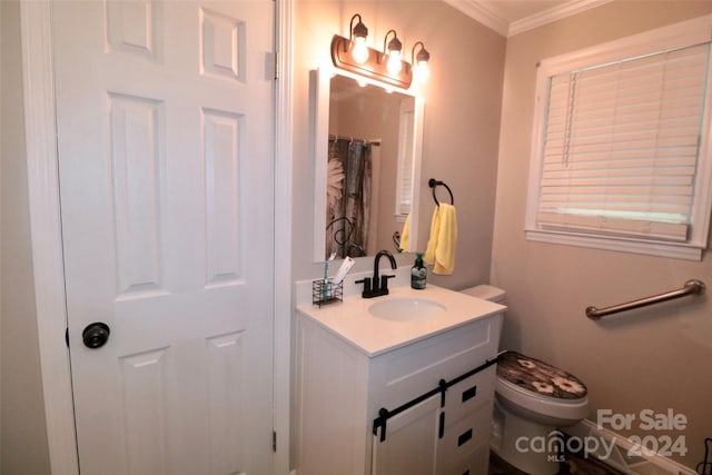 bathroom with vanity, toilet, and crown molding