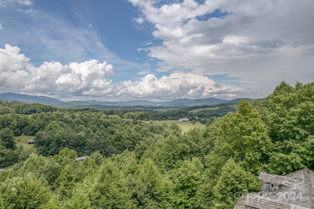 property view of mountains with a forest view