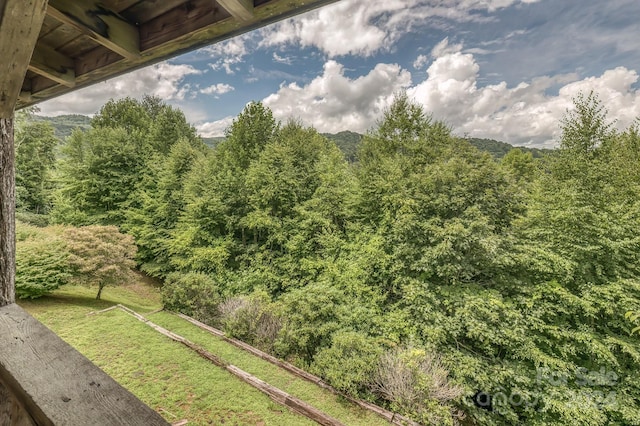 view of yard featuring a forest view