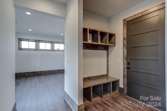 mudroom featuring dark hardwood / wood-style floors