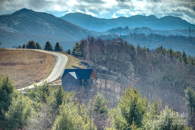 view of mountain feature