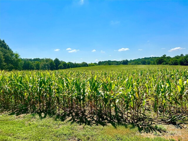 view of nature with a rural view