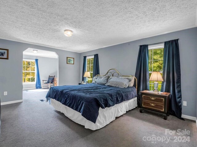 carpeted bedroom with a textured ceiling