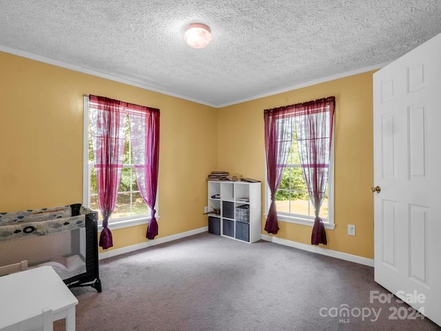 miscellaneous room featuring plenty of natural light, a textured ceiling, and carpet flooring