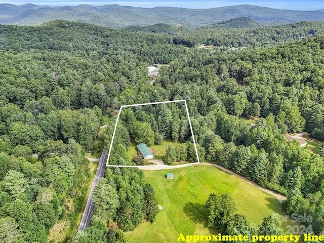 birds eye view of property featuring a mountain view