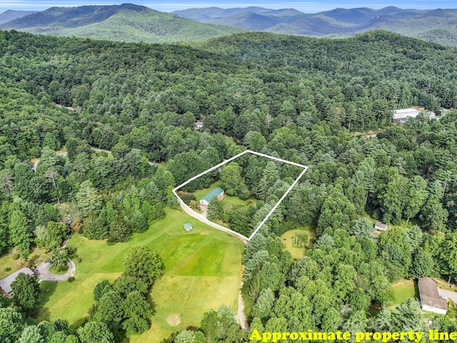 drone / aerial view featuring a mountain view