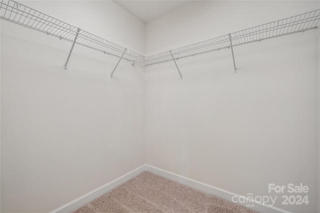 walk in closet with carpet