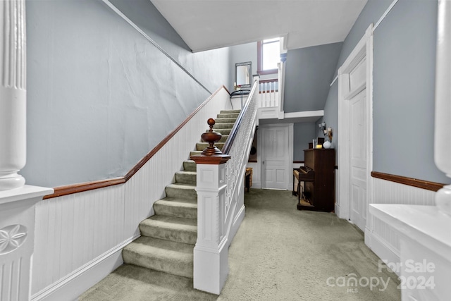 staircase featuring wooden walls and carpet flooring