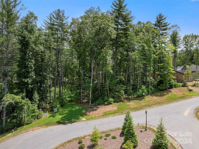 323 Flowering Vine Ct Unit 617, Asheville, NC 28803 - photo 12