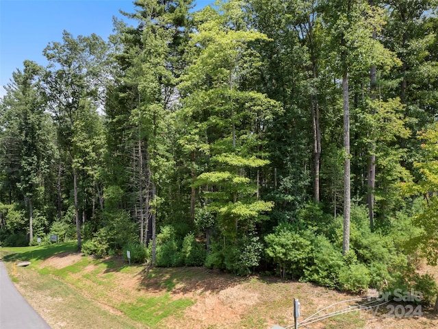 323 Flowering Vine Ct Unit 617, Asheville, NC 28803 - photo 13