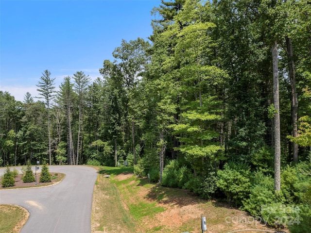 323 Flowering Vine Ct Unit 617, Asheville, NC 28803 - photo 14