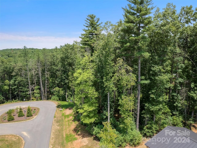 323 Flowering Vine Ct Unit 617, Asheville, NC 28803 - photo 15