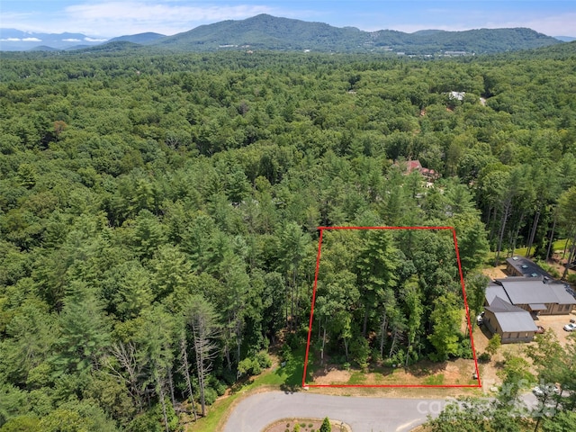 323 Flowering Vine Ct Unit 617, Asheville NC, 28803 land for sale