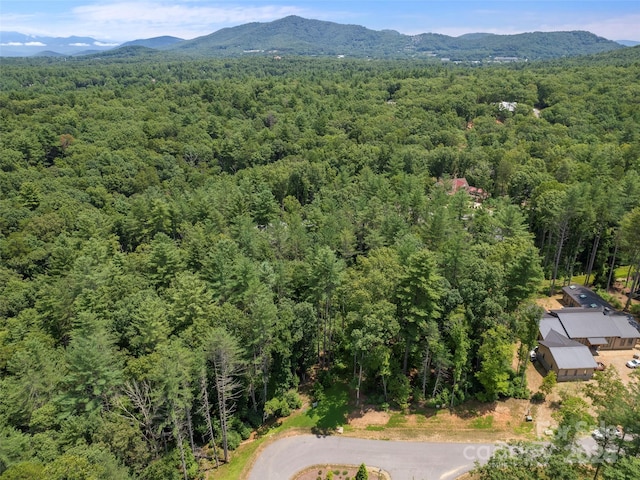 323 Flowering Vine Ct Unit 617, Asheville, NC 28803 - photo 2