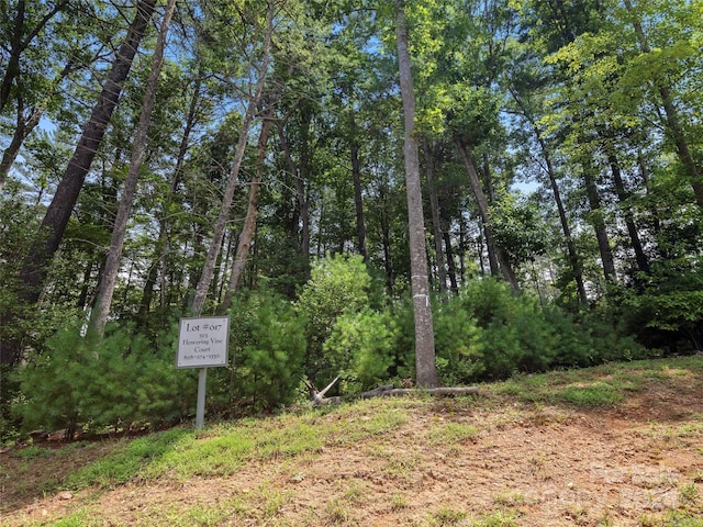 323 Flowering Vine Ct Unit 617, Asheville, NC 28803 - photo 3