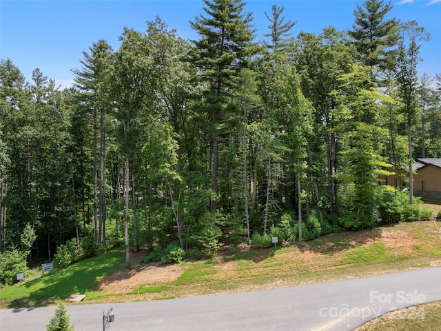 323 Flowering Vine Ct Unit 617, Asheville, NC 28803 - photo 4