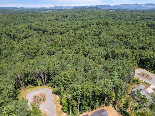323 Flowering Vine Ct Unit 617, Asheville, NC 28803 - photo 5