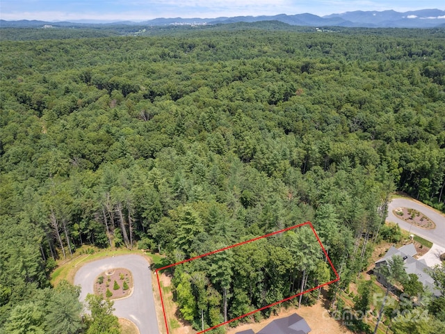 323 Flowering Vine Ct Unit 617, Asheville, NC 28803 - photo 6