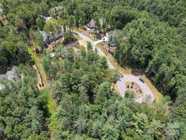 323 Flowering Vine Ct Unit 617, Asheville, NC 28803 - photo 7