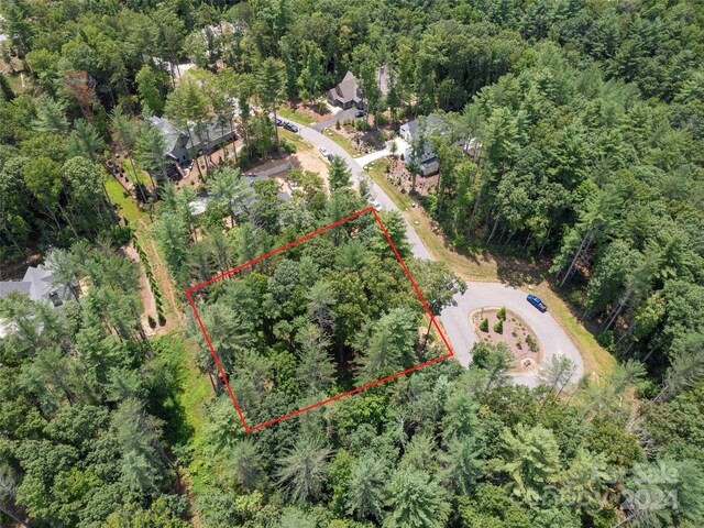 323 Flowering Vine Ct Unit 617, Asheville, NC 28803 - photo 8