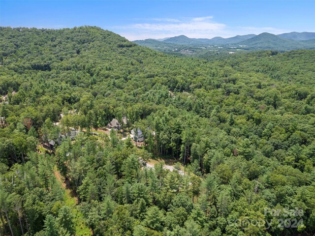 323 Flowering Vine Ct Unit 617, Asheville, NC 28803 - photo 9