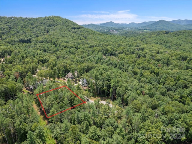 323 Flowering Vine Ct Unit 617, Asheville, NC 28803 - photo 10
