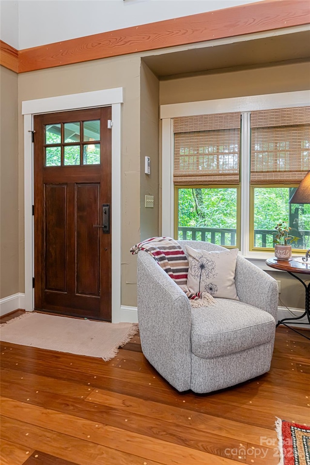 entryway with baseboards and wood finished floors