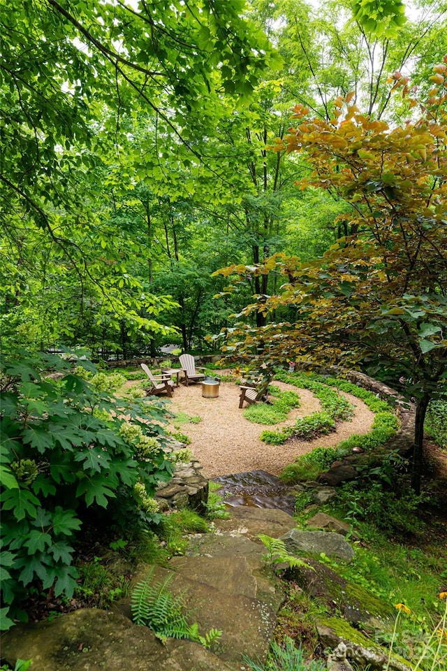 view of yard with a forest view