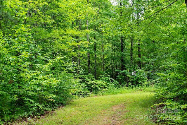 view of yard with a view of trees