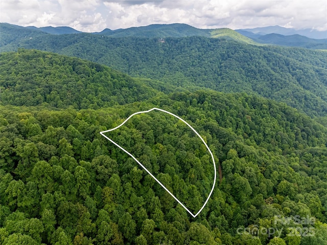 aerial view with a mountain view and a forest view