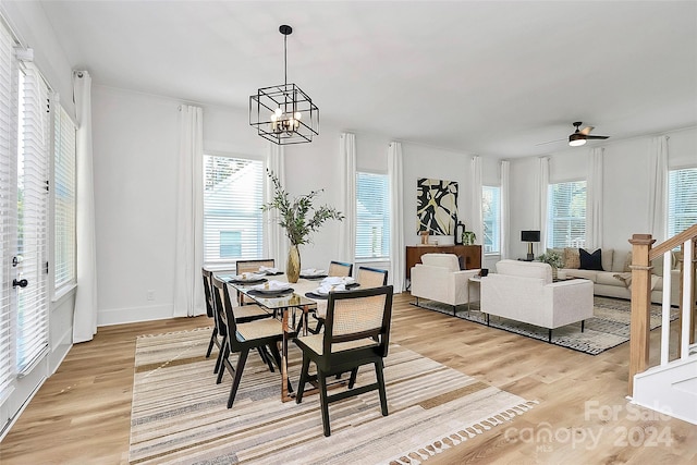 dining room featuring ceiling fan with notable chandelier and light wood-type flooring