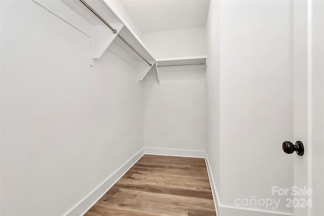 spacious closet featuring wood-type flooring