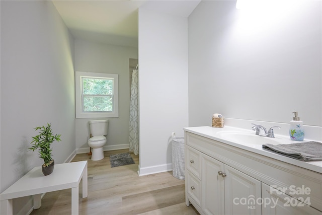 bathroom featuring vanity, hardwood / wood-style floors, and toilet