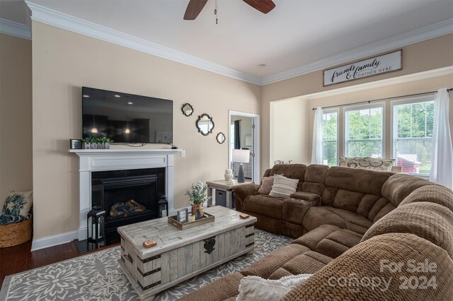 living room featuring dark hardwood / wood-style floors, ceiling fan, and ornamental molding